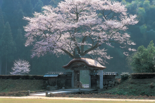 一乗谷朝倉氏遺跡