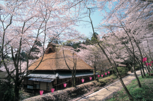 花筐(カキョウ)公園